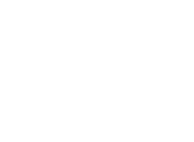 webstarted