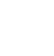 webstartedventures